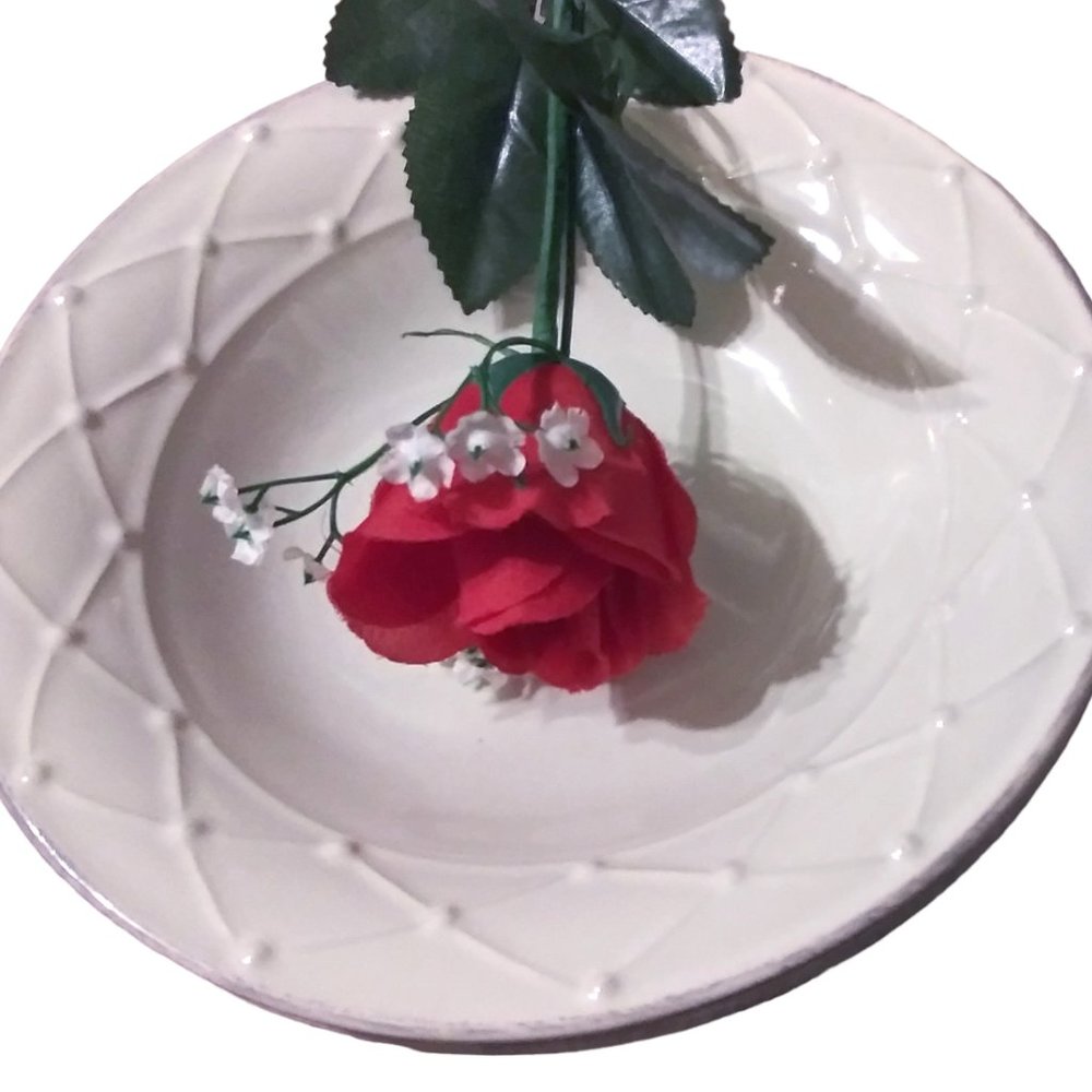 Casa Stone by Casafina Stoneware Pasta Bowls, Rim Bowls, Salad Bowls, Soup Bowls
